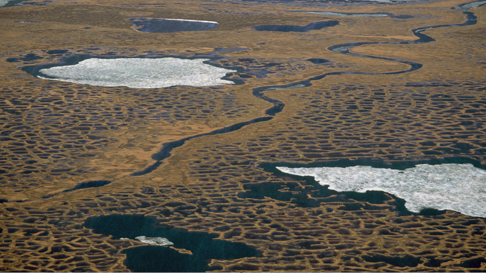 موجة الحر الشديد في سيبيريا العام الماضي قد تطلق 