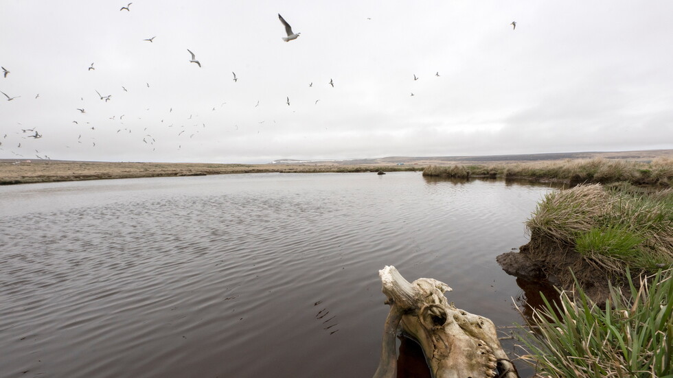 مقتل 6 أشخاص جراء تحطم طائرة سياحية في ألاسكا