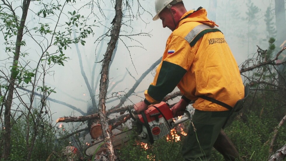 ارتفاع مساحة حرائق الغابات في محمية بجمهورية موردوفيا الروسية