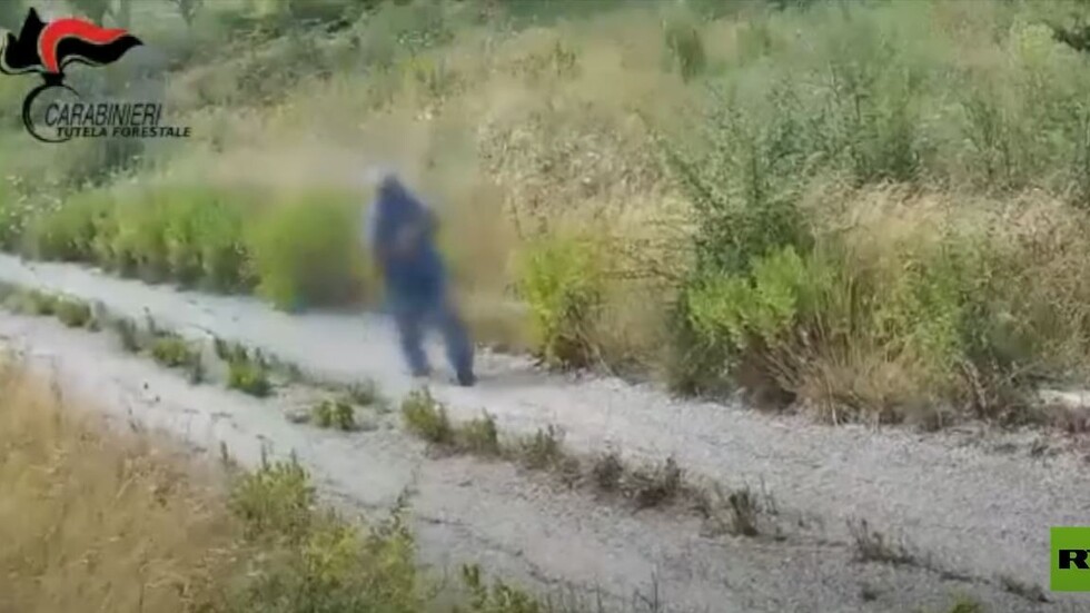 إيطاليا.. كاميرا توثق لحظة إشعال حريق بشكل متعمد في منطقة ريفية