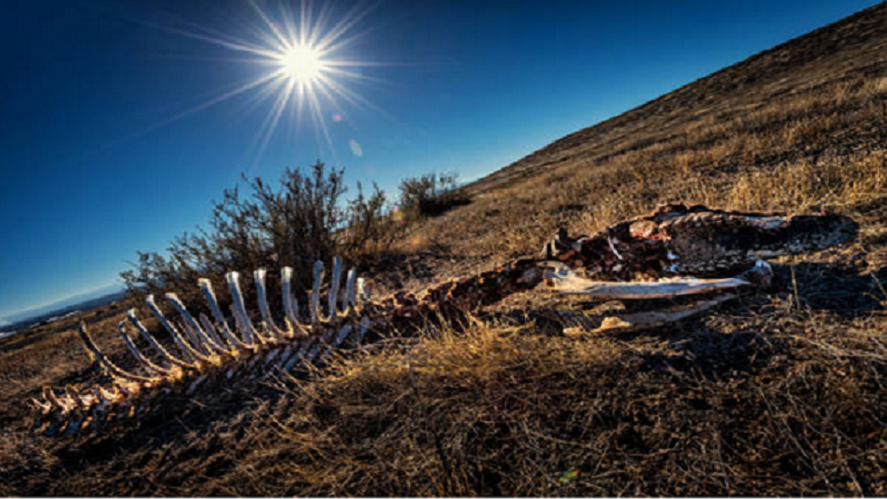 تقرير أممي: النشاط البشري يحرك الاحترار العالمي بشكل لا لبس فيه وبمعدل غير مسبوق