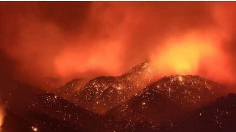 مسؤول جزائري: الحرائق شيطانية ومفتعلة وتم استغلال ارتفاع درجات الحرارة للتمويه (فيديو)