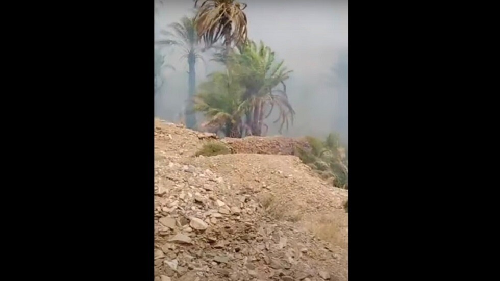 النيران تلتهم واحة مغربية‎‎ (فيديو)