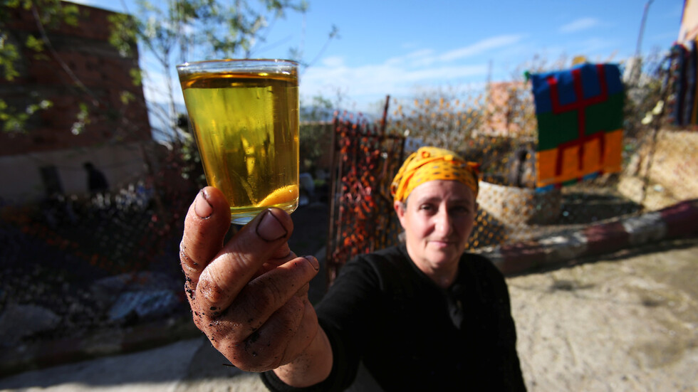 سوريا تعلق تصدير زيت الزيتون