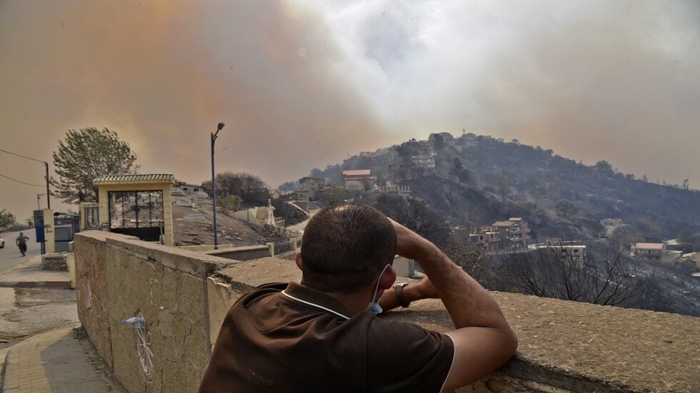 الجزائر.. مشروع قانون يقضي بسجن مفتعلي الحرائق 30 عاما