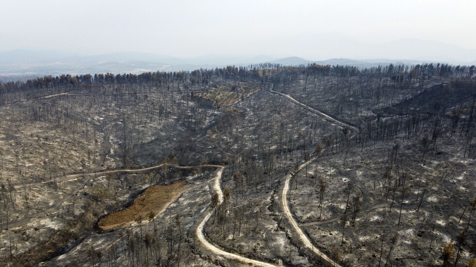 رئيس وزراء اليونان: حرائق الغابات تمثل كارثة بيئية كبرى