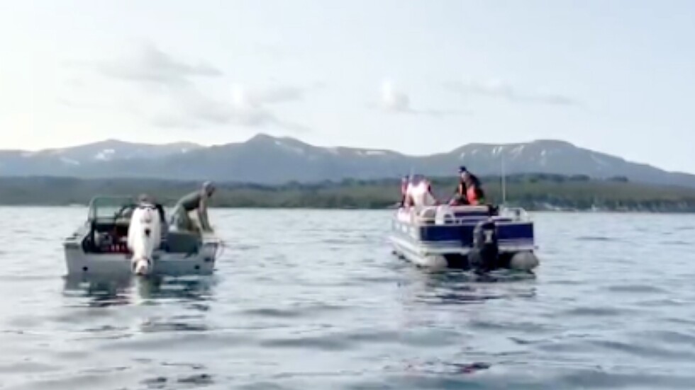 روسيا.. العثور على المروحية المنكوبة في كامتشاتكا وعدد من جثث الضحايا