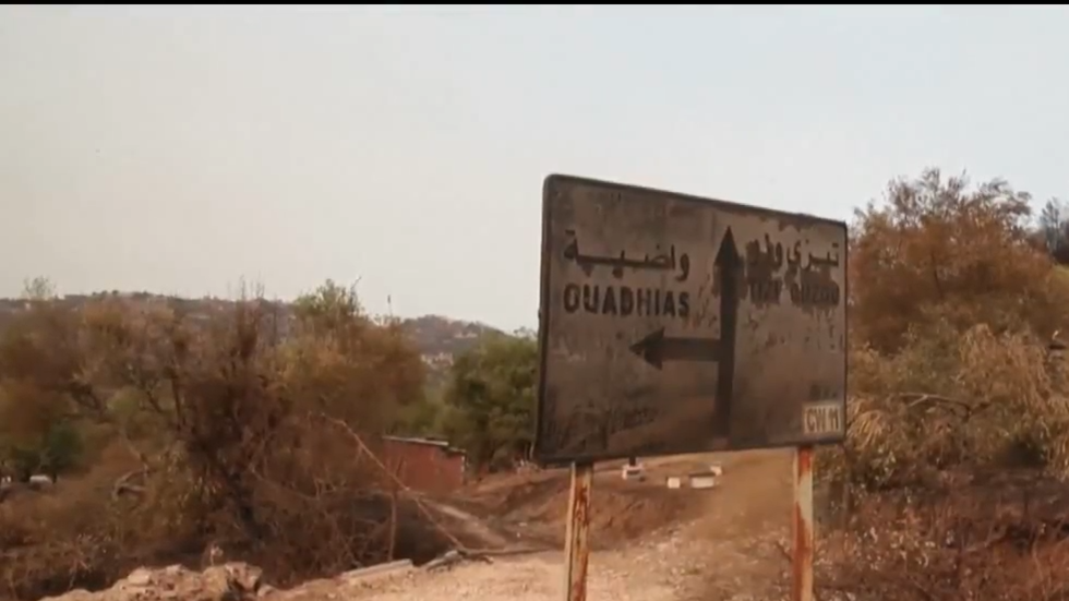 سلطات الجزائر تواصل جهود السيطرة على الحرائق