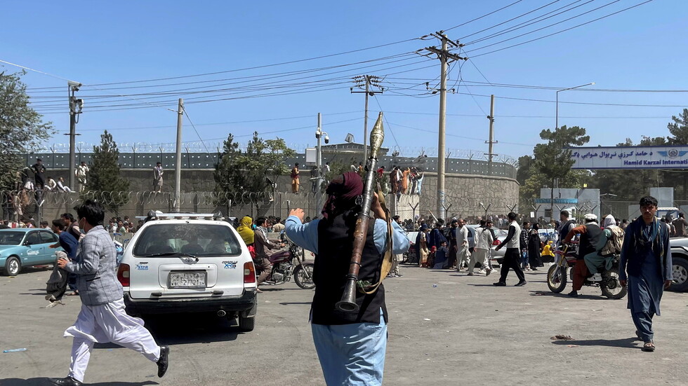 القوات الأمريكية تجلي كلابها من أفغانستان  (فيديو)