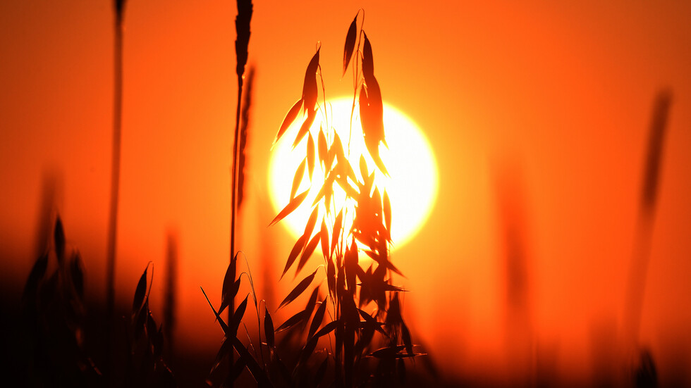 روسيا.. قفزة في صادرات المنتجات الزراعية