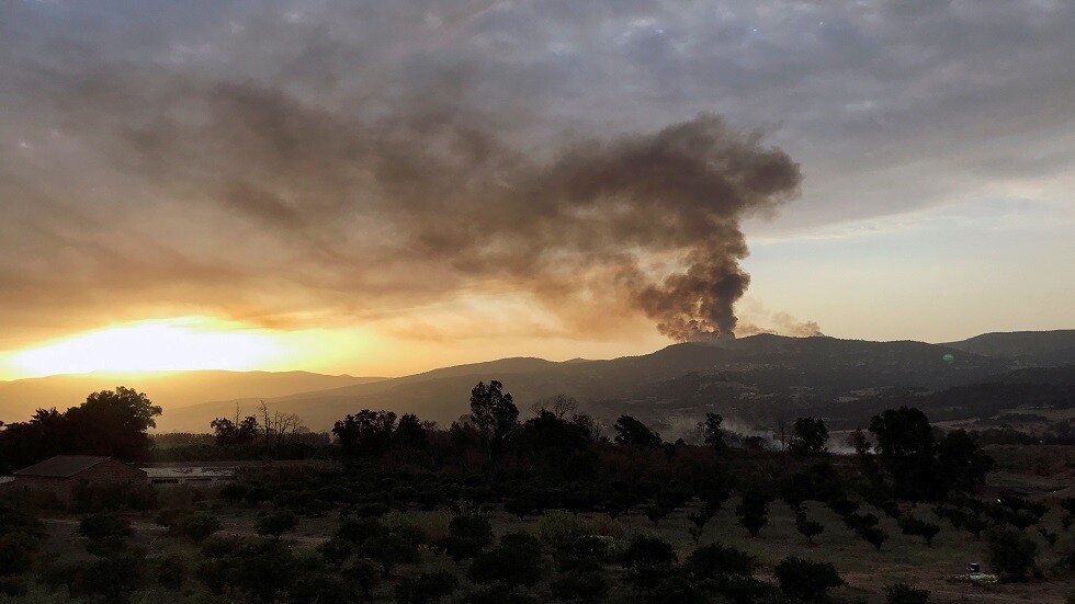 الجزائر.. السجن المؤقت لثلاثة أشخاص أضرموا النيران في الغابات