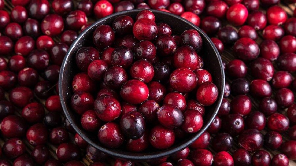 مواد غذائية لتعزيز المناعة في الخريف