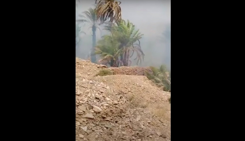 النيران تلتهم واحة مغربية‎‎ (فيديو)