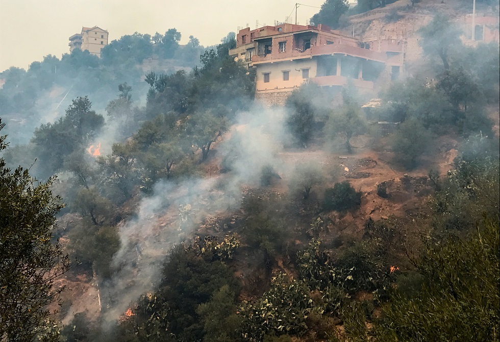 رئيس وزراء الجزائر: الحرائق كانت نتيجة فعل إجرامي والدولة لن تتسامح مع المتورطين (فيديو)