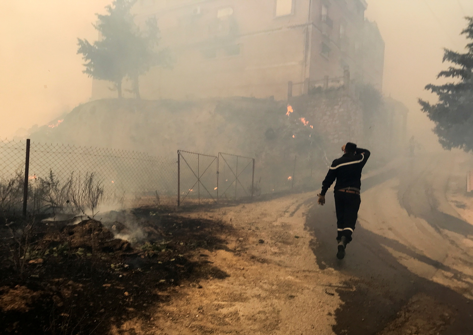 69 قتيلا في حرائق الغابات في الجزائر وجهود إطفاء النيران مستمرة