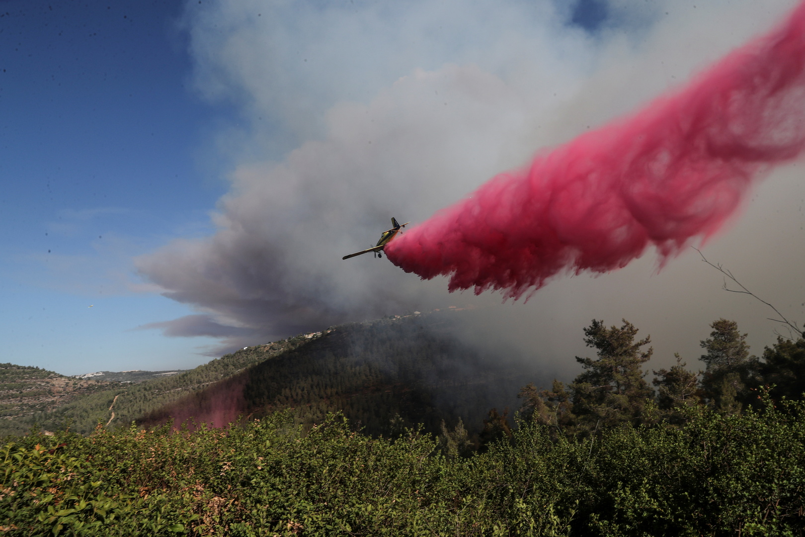 إسرائيل تطلب المساعدة الدولية لإخماد حرائق جبال القدس
