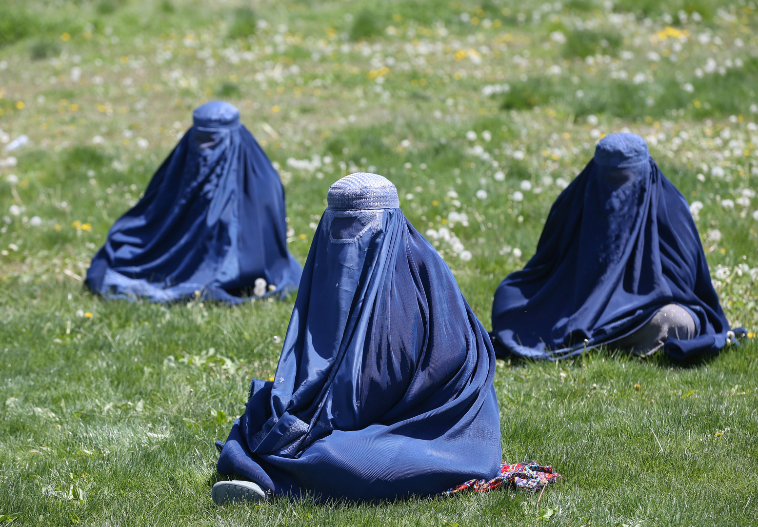 طالبان تدعو النساء إلى الانضمام لحكومتها