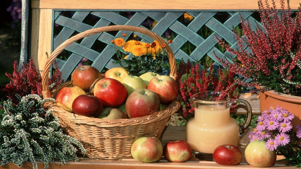 صحياً.. كم تفاحة يمكننا أن نأكل في اليوم؟