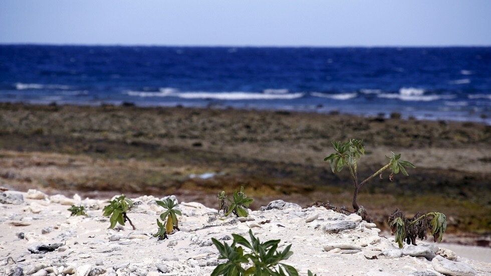 مقتل أحد راكبي الأمواج في هجوم لسمكة قرش على الساحل الشرقي لأستراليا
