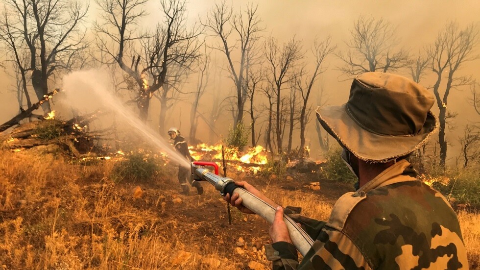‏الجزائر.. نشوب حرائق غابات جديدة في 5 محافظات