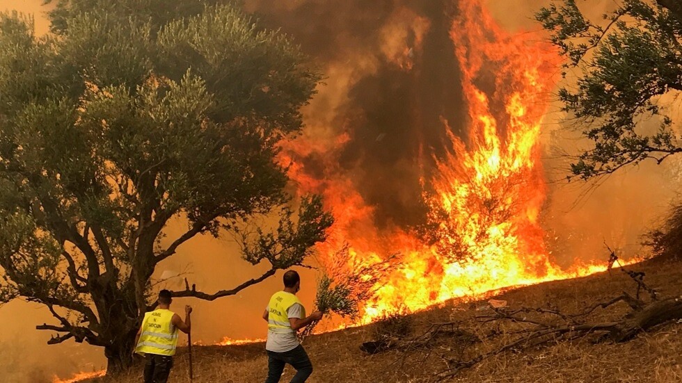 الجزائر.. السجن المؤقت لعشرات المشتبه بأنهم افتعلوا الحرائق