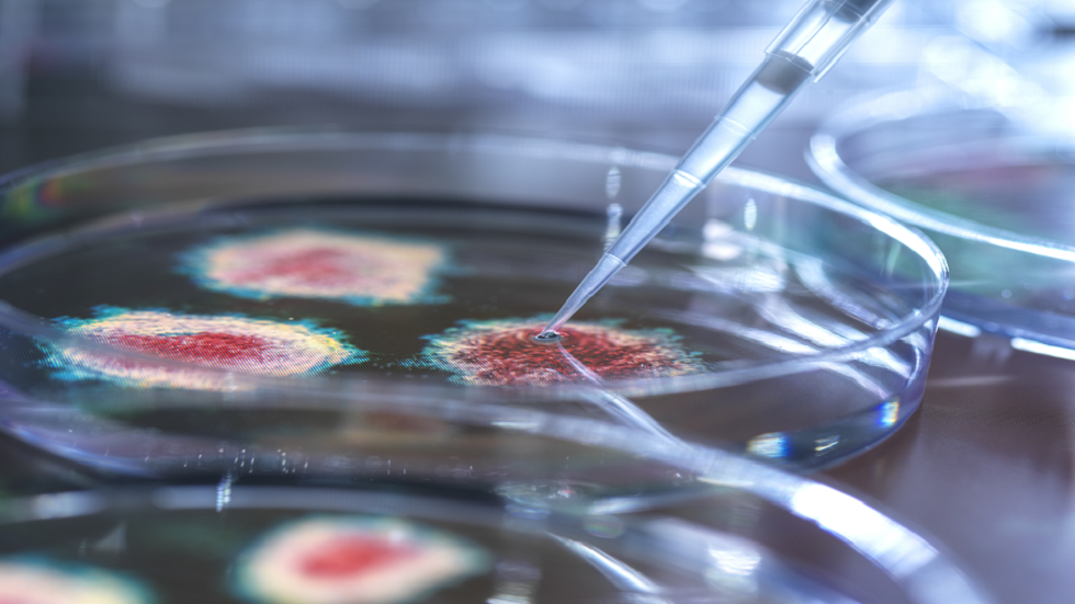 الثدييات تحمل مقبرة للفيروسات في الحمض  النووي.. فما الغرض منها؟