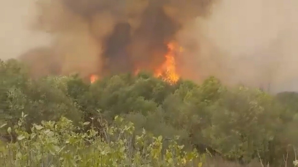الجزائر.. اندلاع عدة حرائق في بومرداس (صور + فيديو)