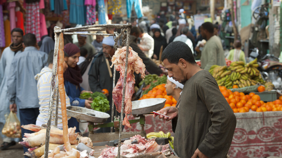 مصر.. حظر استيراد اللحوم الهندية بعد وفاة طفل بفيروس نيباه