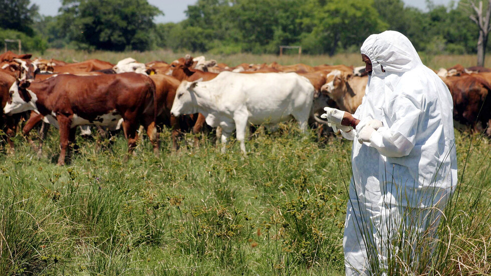 ناميبيا تكتشف نوعا جديدا من مرض الحمى القلاعية