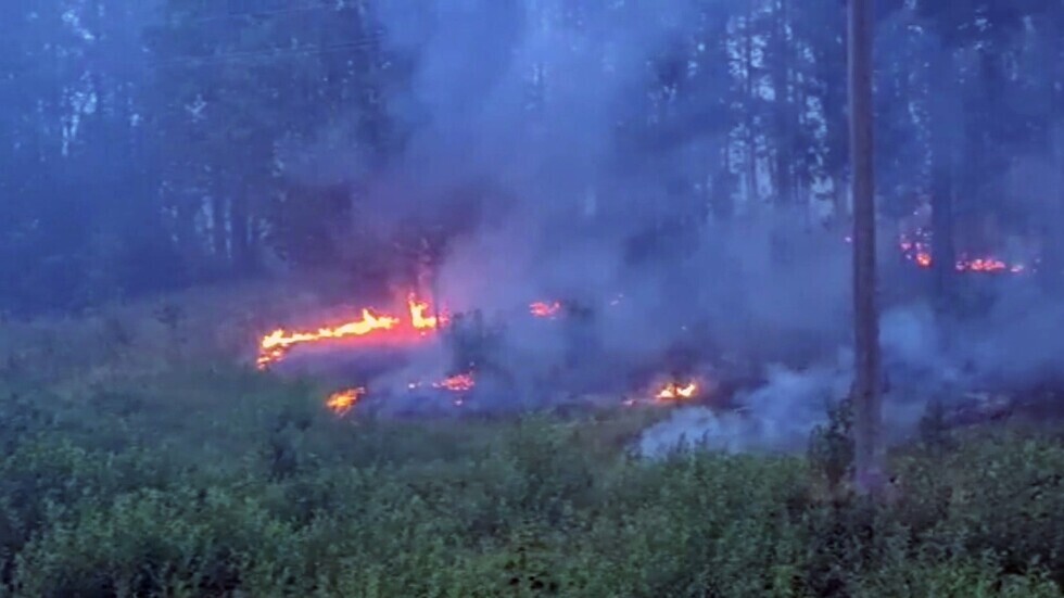 الجزائر.. 18 حريقا بجيجل شرق البلاد (فيديو)