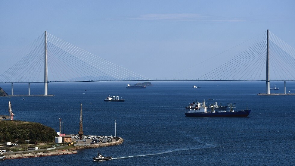 اصطدام سفينة شحن روسية مع سفينة تركية في مضيق البوسفور