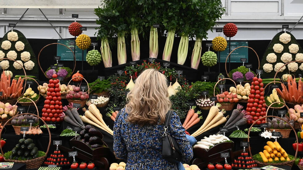 أخصائية تغذية تكشف عن نوع من الخضار يساعد في تقليل الالتهاب والحماية من السرطان