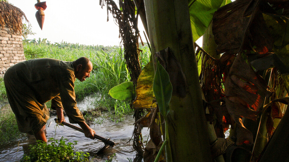 مصر تعلن عن شحّ بالمياه