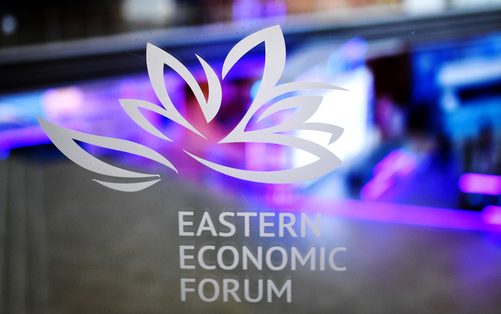 أكثر من 60 دولة مشاركة.. انطلاق منتدى الشرق الاقتصادي في روسيا