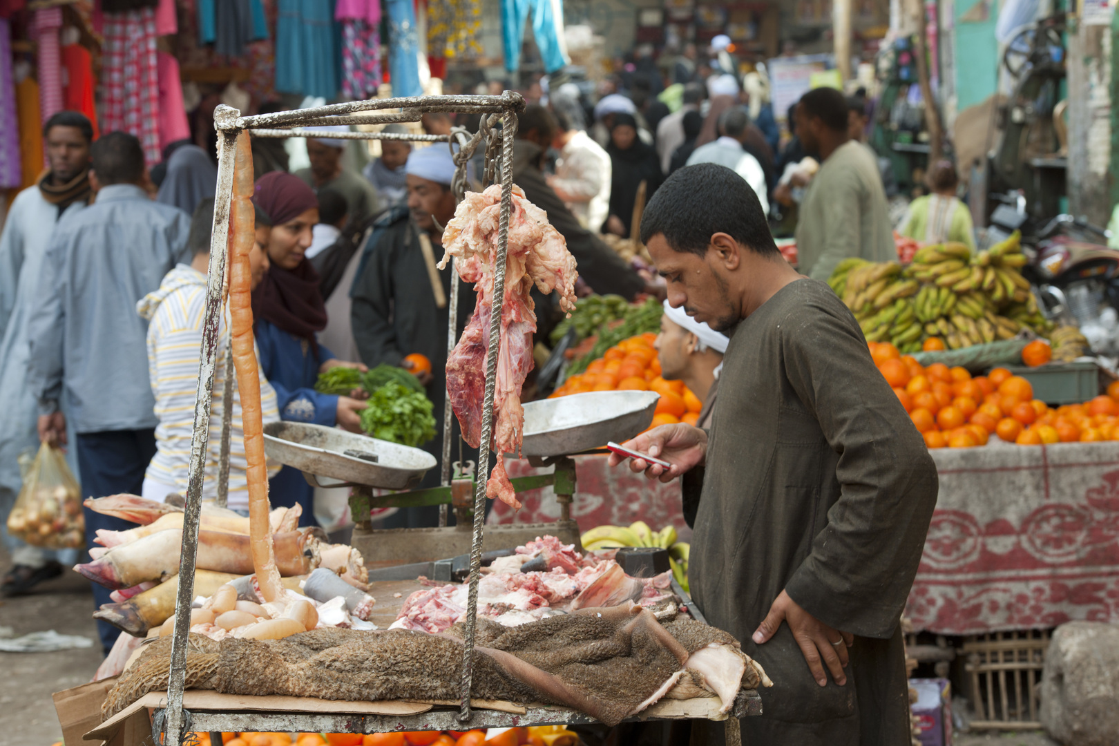مصر.. حظر استيراد اللحوم الهندية بعد وفاة طفل بفيروس نيباه