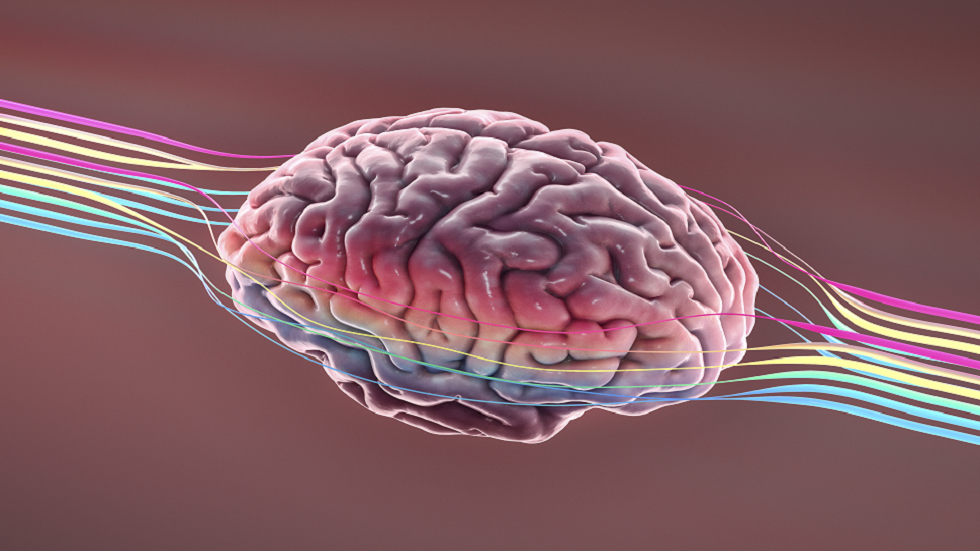 سامسونغ تعمل على نسخ الدماغ البشري في شرائح ثلاثية الأبعاد