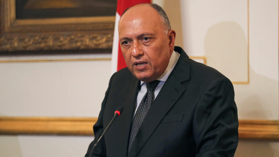 مصر تؤكد استمرارها في دعم كافة جهود الاستقرار في ليبيا