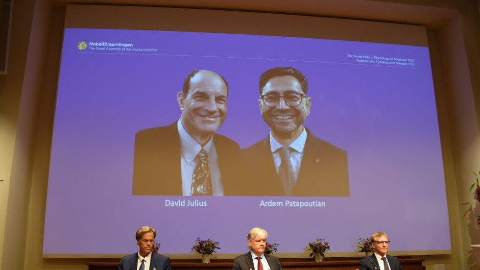 من هو العالم من مواليد لبنان الحاصل على جائزة نوبل للطب لعام 2021؟