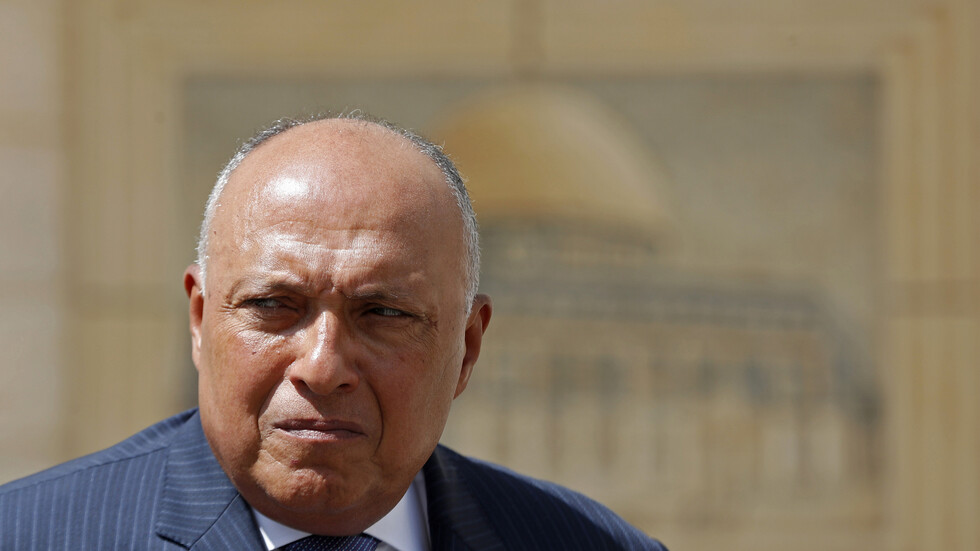 وزير الخارجية المصري: علاقاتنا مع قطر تسير بشكل جيد.. وتوجد قضايا عالقة مع تركيا