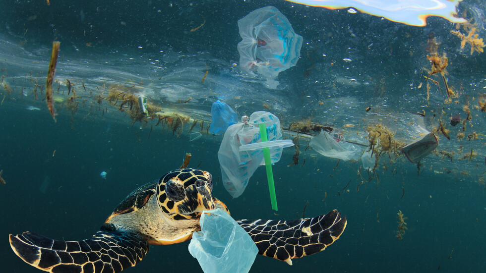 ما مقدار النفايات البلاستيكية التي تطفو حاليا في البحر الأبيض المتوسط؟