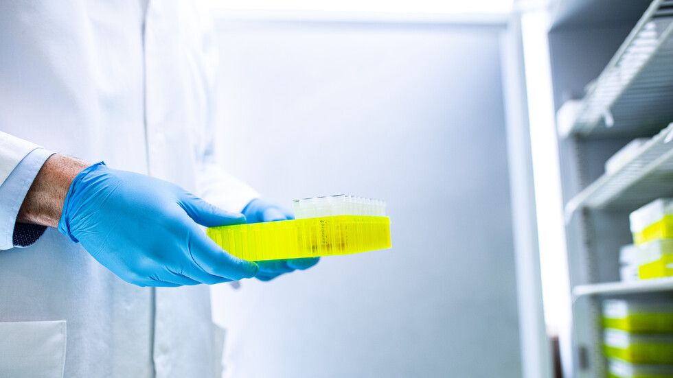 مصر.. فتح تحقيق عاجل بعد العثور على كميات كبيرة من لقاح كورونا في الشارع