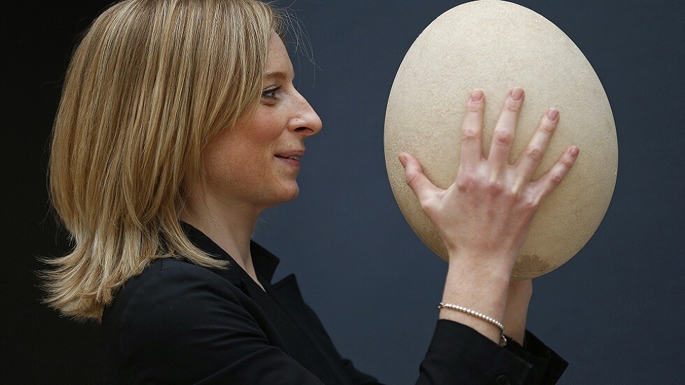 في اليوم العالمي للبيض.. تعرف على أغلى أنواعه في العالم! (صور)