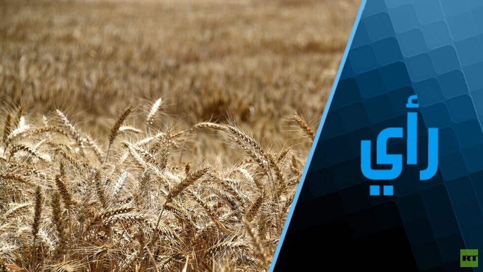 أزمة الغاز في أوروبا والصين سيعقبها أزمة الحبوب في الدول العربية