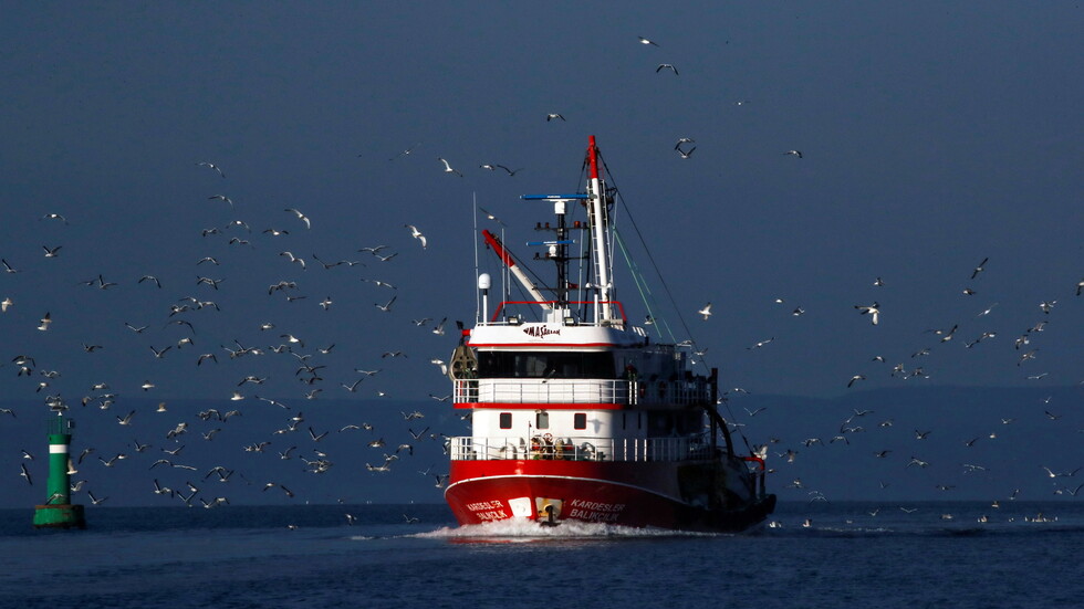 تركيا تعلن إنقاذ 22 طالب لجوء في بحر إيجة