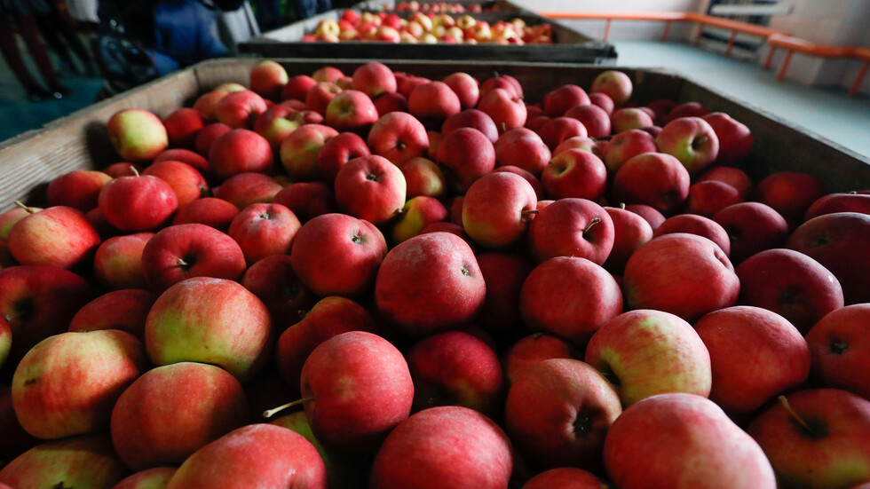 في حادثة غريبة.. أوراق ممزقة من القرآن الكريم تغلف منتوجا إيرانيا في سلطنة عمان (صورة)