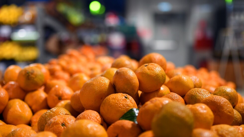 روسيا تفرض حظرا على استيراد منتجات زراعية من تركيا