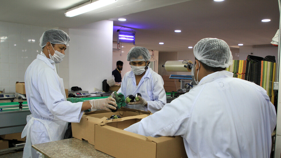 قطر توافق على استقدام الكفاءات الفلسطينية