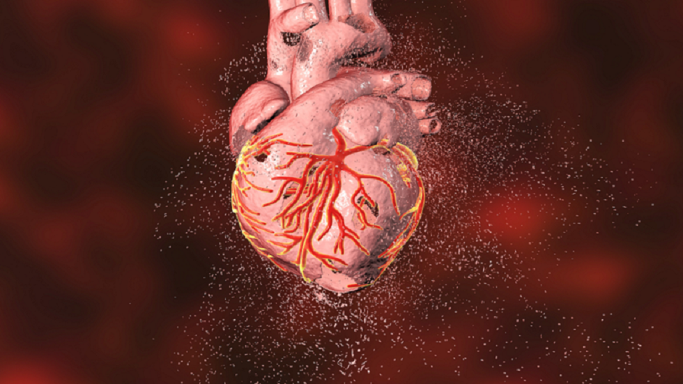 اكتشاف إيقاع خلوي جديد في القلب يوضّح تتبع دورة الـ 24 ساعة
