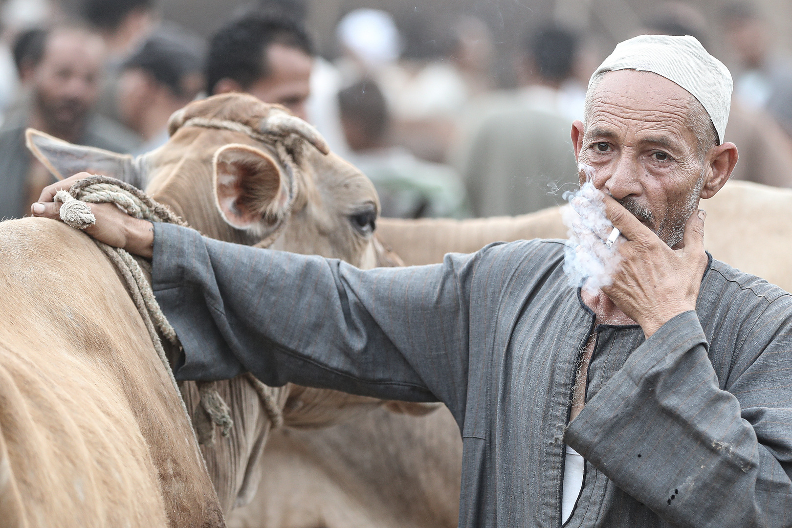 رقم صادم.. كم سيجارة استهلكها المصريون عام 2021؟