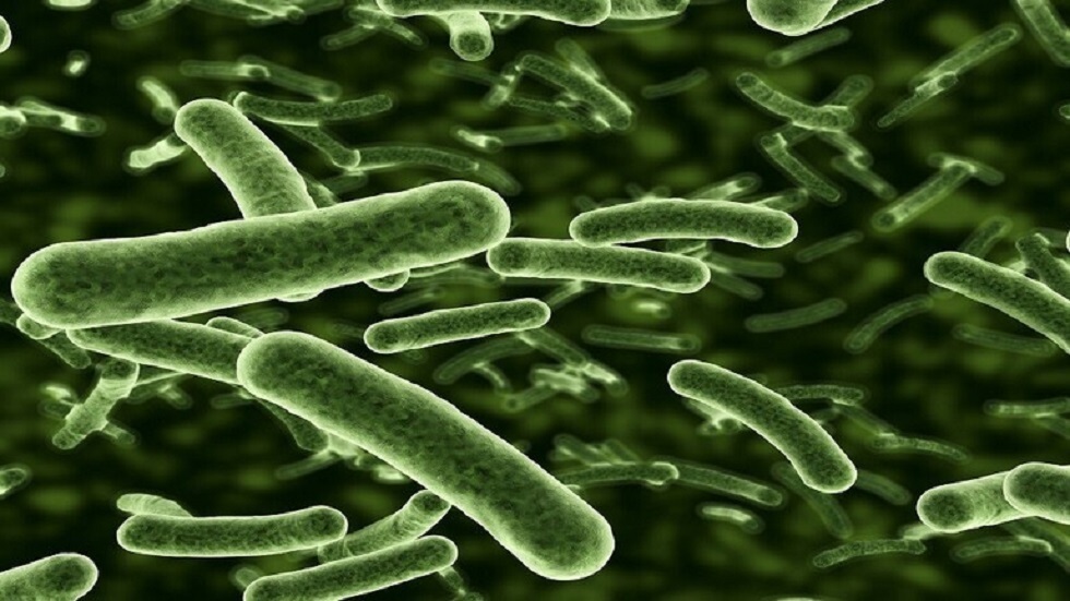 التقاط أوضح صورة على الإطلاق للبكتيريا الحية!